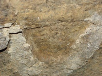 America's Stonehenge Oracle Chamber Petroglyph close-up