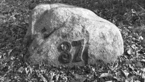 Roger Babson Carved House Number 37 Dogtown Gloucester MA