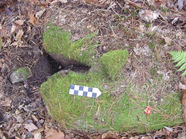 Eaton State Forest NH Split Stone Boulder with Triangular Stone