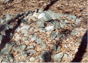 Gungywamp - On Ground Cairn