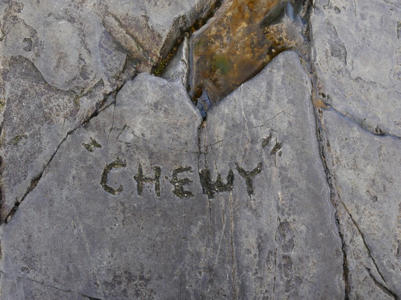 Hampton Beach NH Historic Graffiti Hampton Beach NH Historic Graffiti