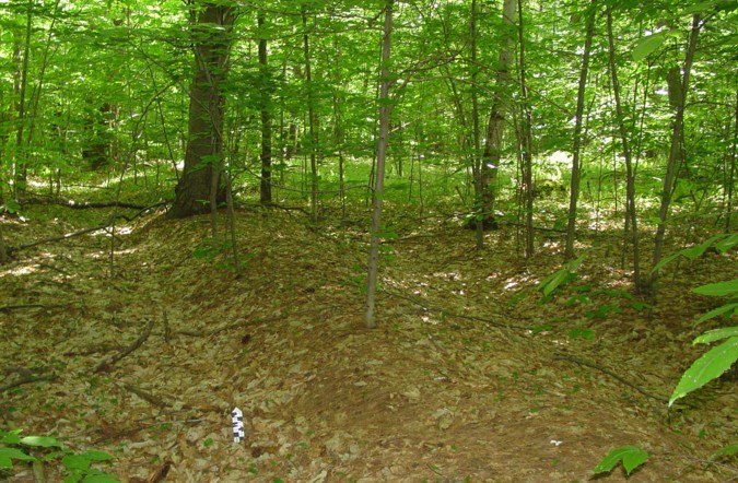Native American Mound Newburyport MA - Maudslay State Park