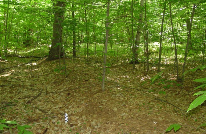 Native American Mound Newburyport MA - Maudslay State Park