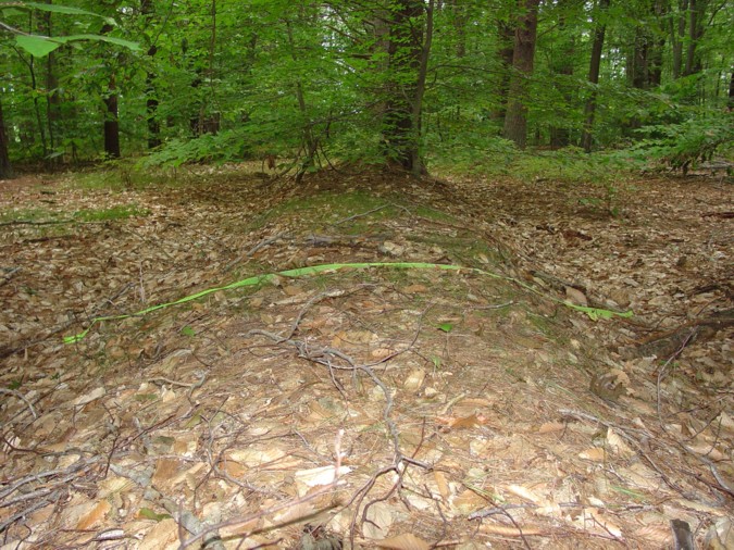 Native American Mound Newburyport MA - Maudslay State Park