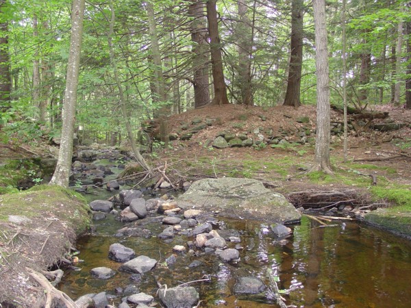 Northwood State Park NH - Mill Dam