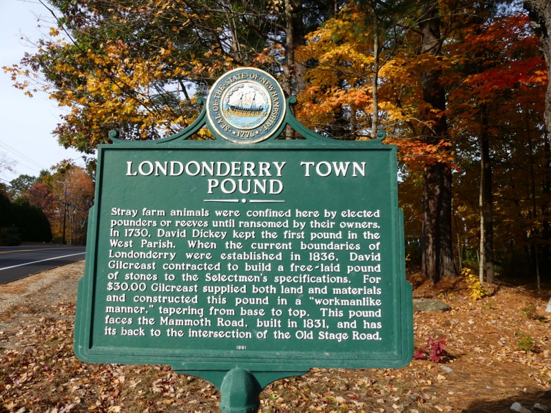 Pound-Londonderry-2