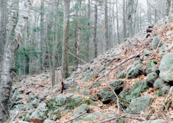 Sandown-Nh-Hillside-Cairn