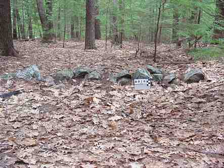 Stone Wall Segment Sandown NH