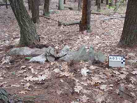 Stone Wall Segment Sandown NH