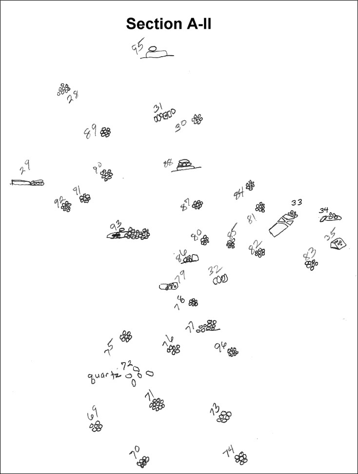 Sandown-S1-Map-A-II