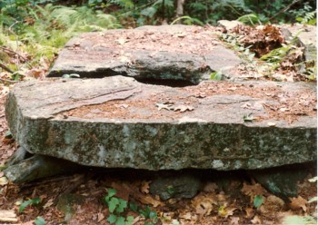 Two piece stone well cap