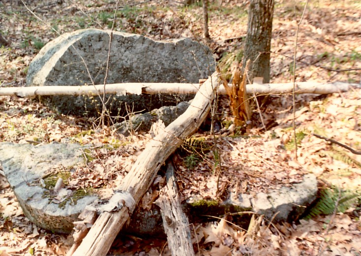 Quarried boulder in the field